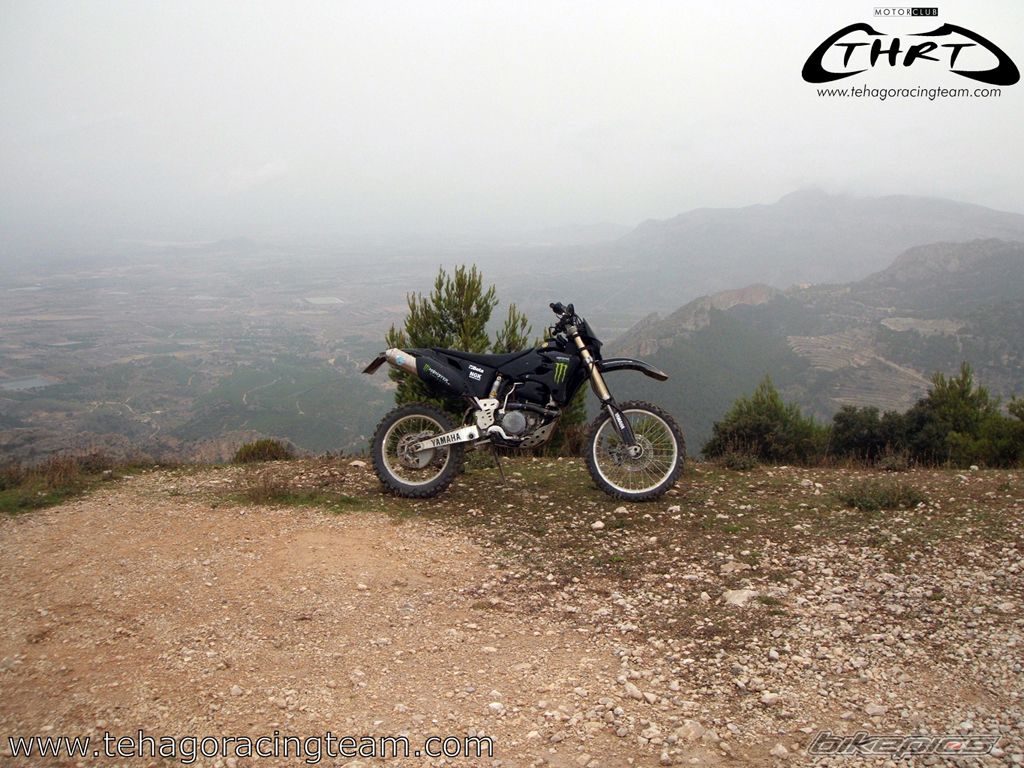 2004 YAMAHA WR 450F | Picture 1448924 motorcycle photo