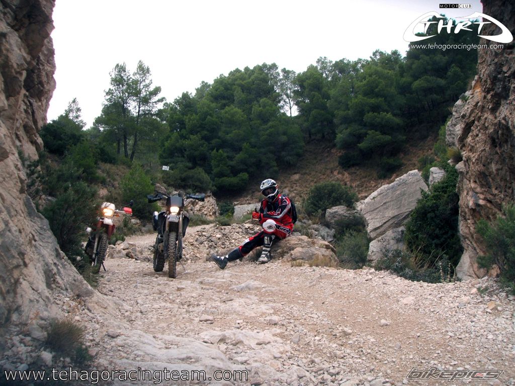 2004 YAMAHA WR 450F | Picture 1448934 motorcycle photo