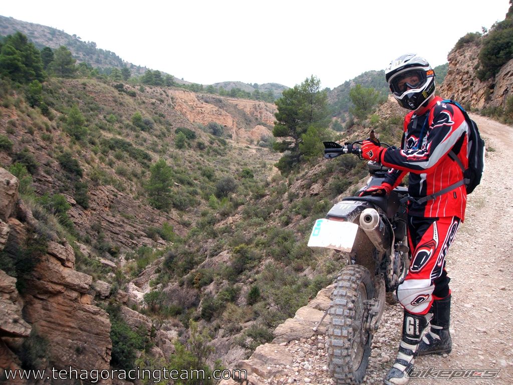 2004 YAMAHA WR 450F | Picture 1448939 motorcycle photo