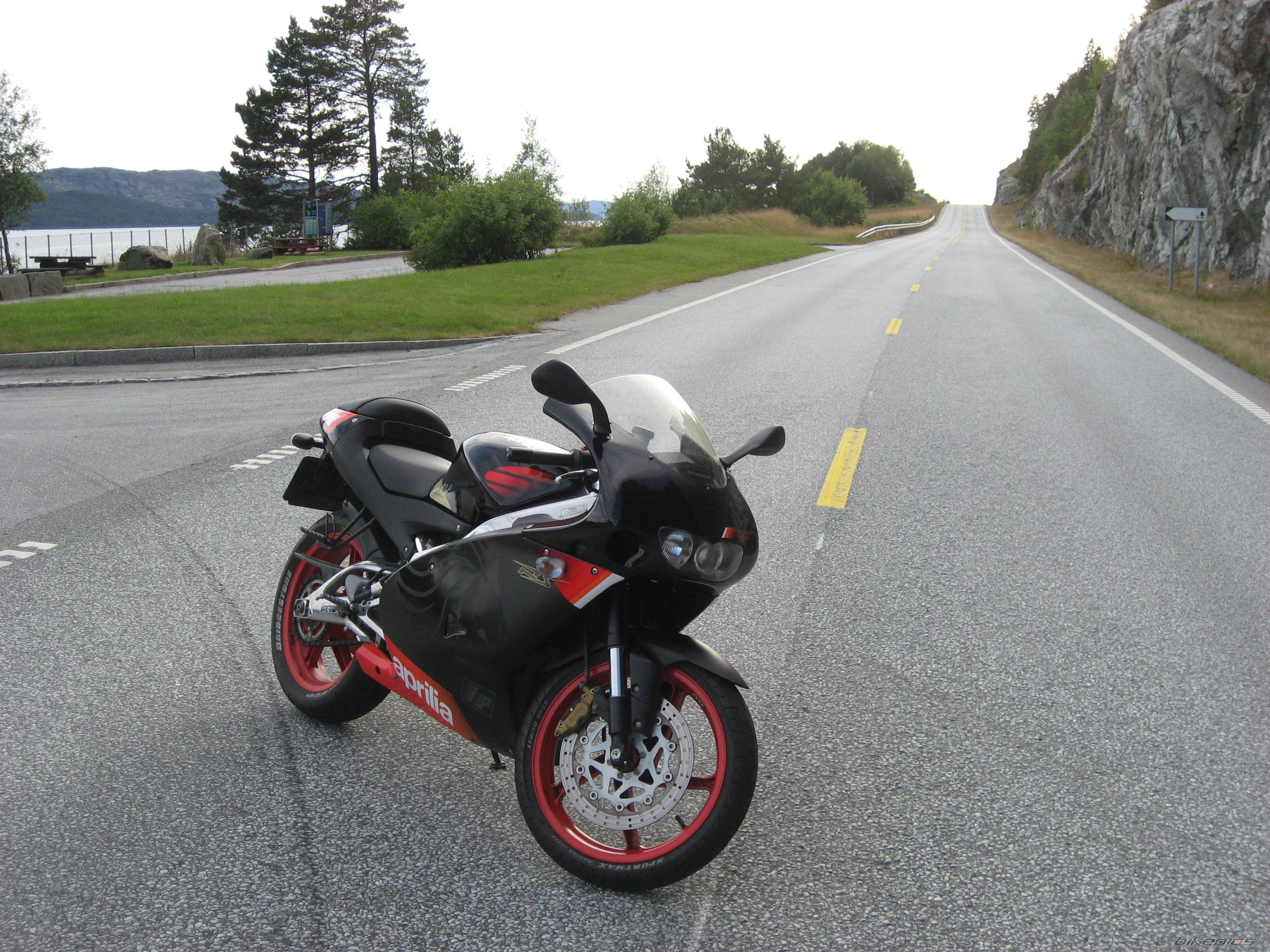 2004 APRILIA RS 125 | Picture 1449010 motorcycle photo