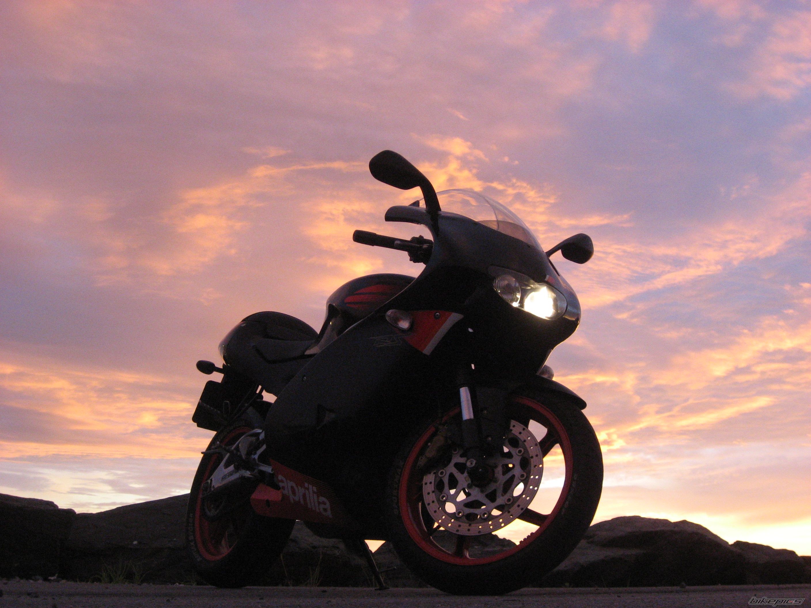 2004 APRILIA RS 125 | Picture 1449041 motorcycle photo