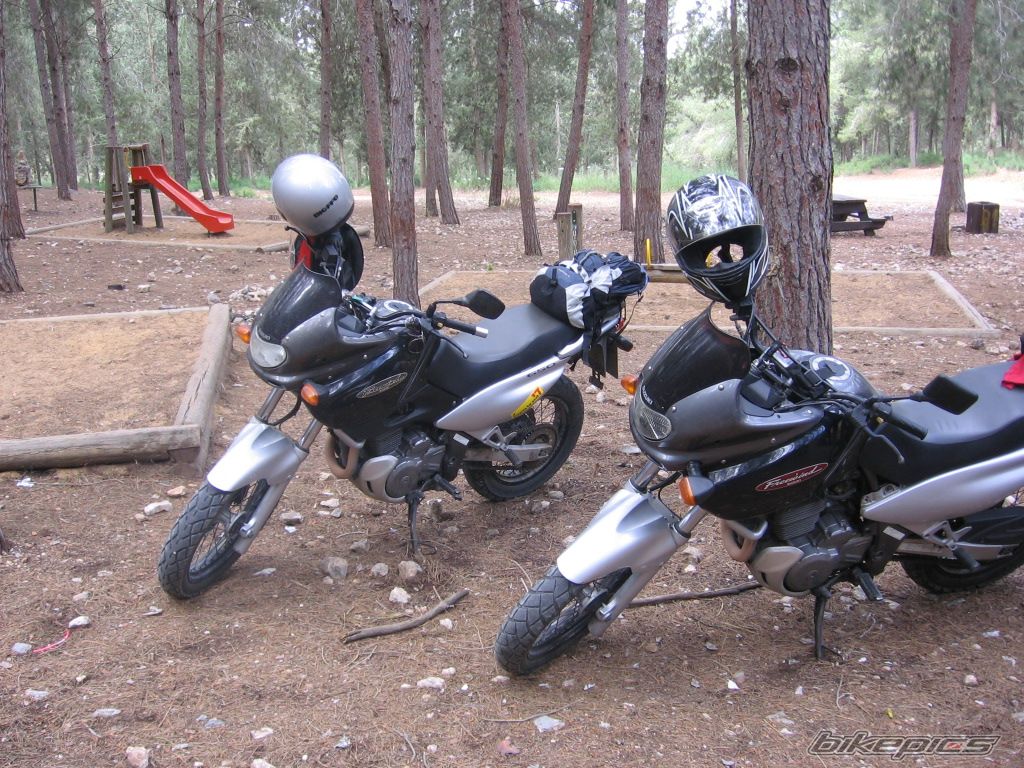 1998 SUZUKI XF 650 | Picture 1449218 motorcycle photo