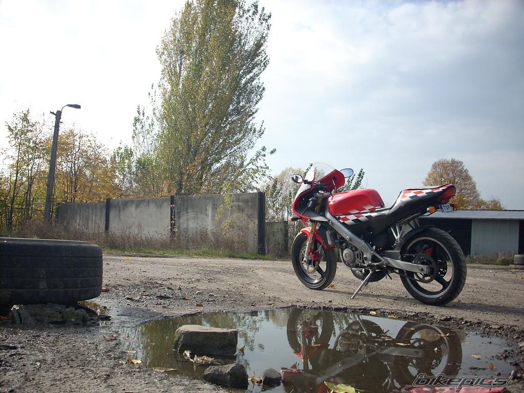 2004 DERBI GPR 50 REPLICA | Picture 1449465 motorcycle photo