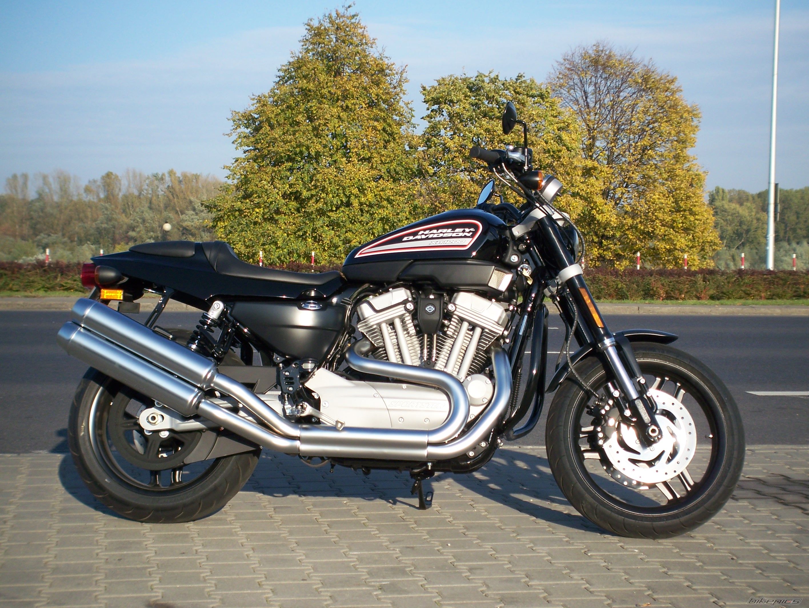 2008 HARLEY DAVIDSON XR 1000 | Picture 1449651 motorcycle photo