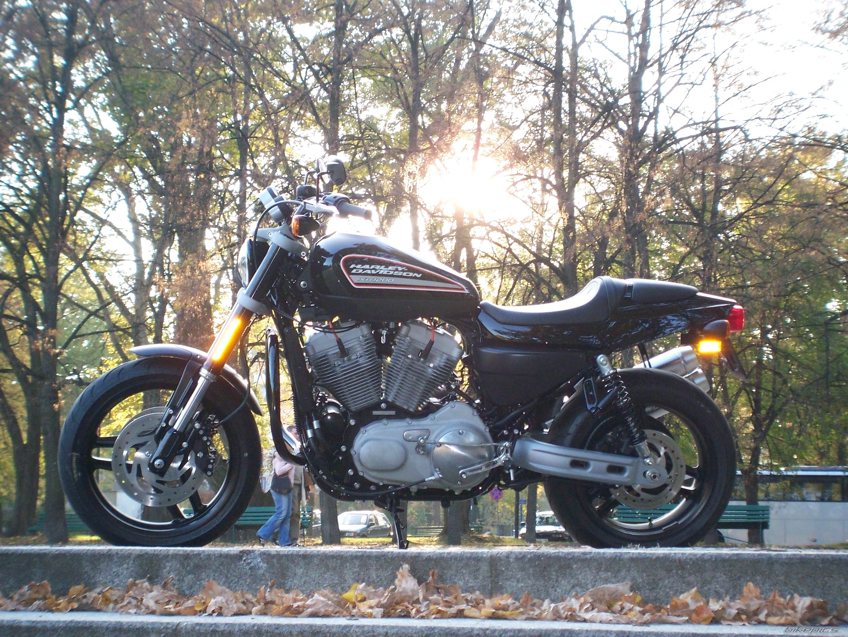 2008 HARLEY DAVIDSON XR 1000 | Picture 1449671 motorcycle photo