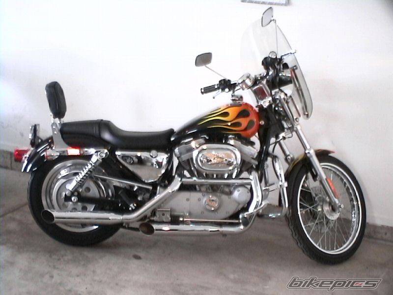 2002 HARLEY DAVIDSON XL 883C | Picture 144989 motorcycle photo