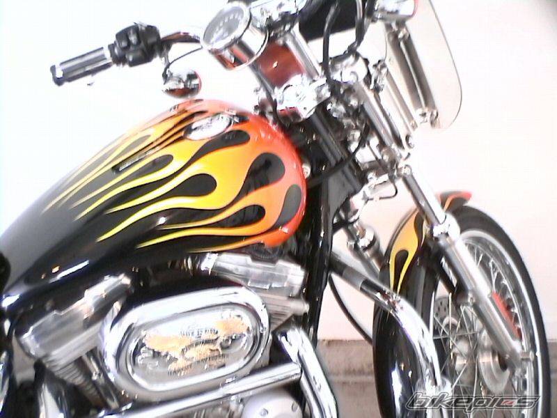 2002 HARLEY DAVIDSON XL 883C | Picture 144990 motorcycle photo