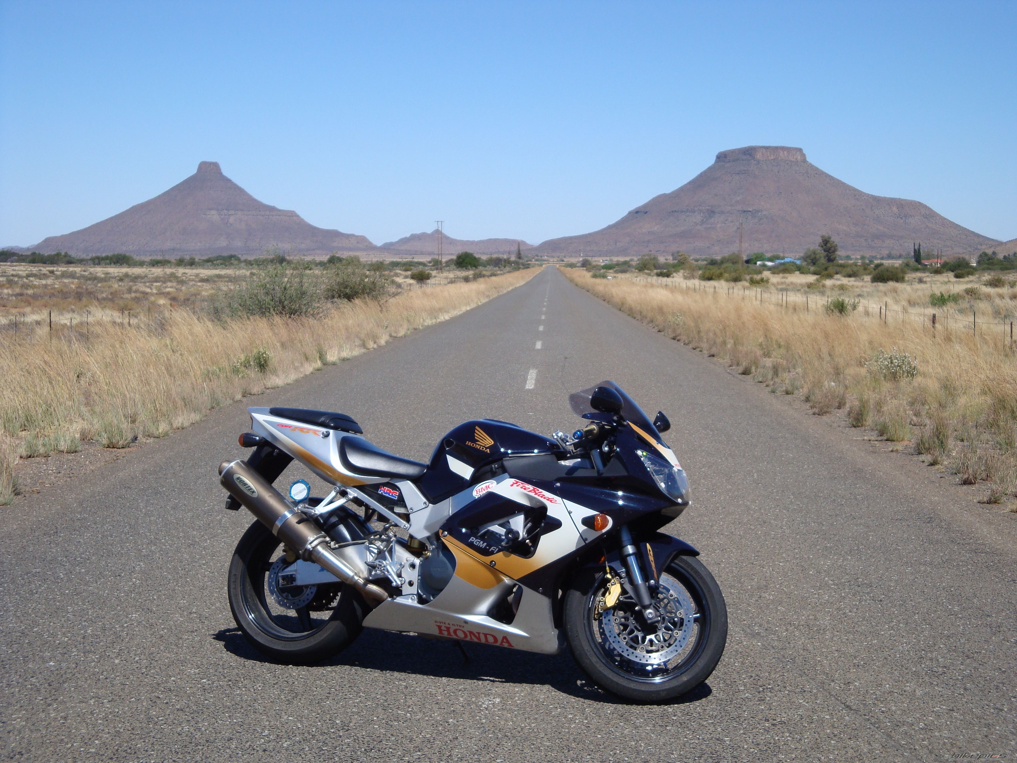 2000 HONDA CBR 900 | Picture 1449932 motorcycle photo