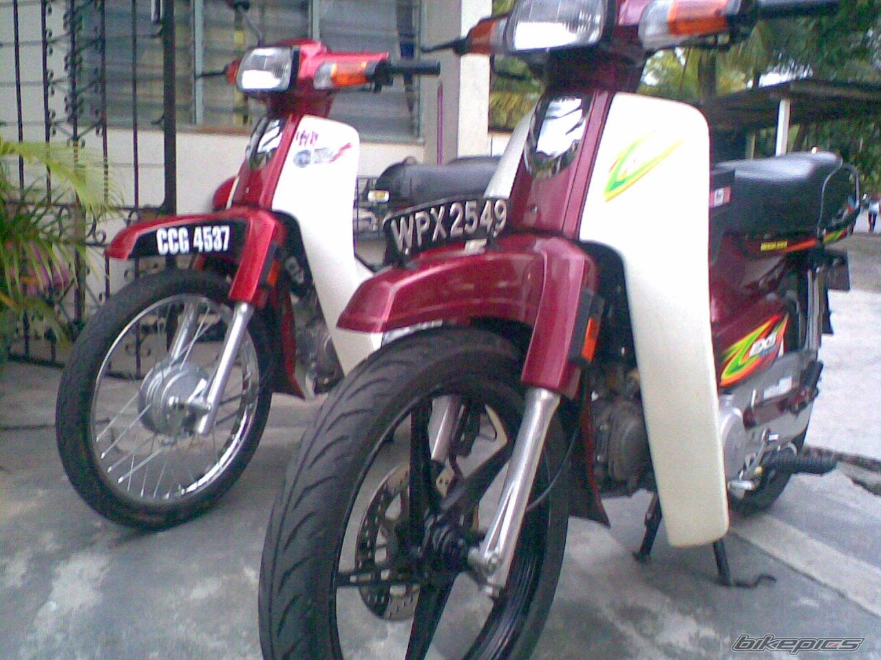    | Picture 1449937 motorcycle photo