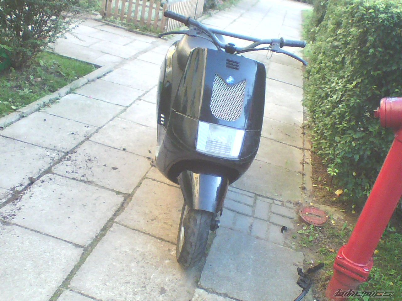 1992 PIAGGIO SFERA NSL 50 | Picture 1450525 motorcycle photo