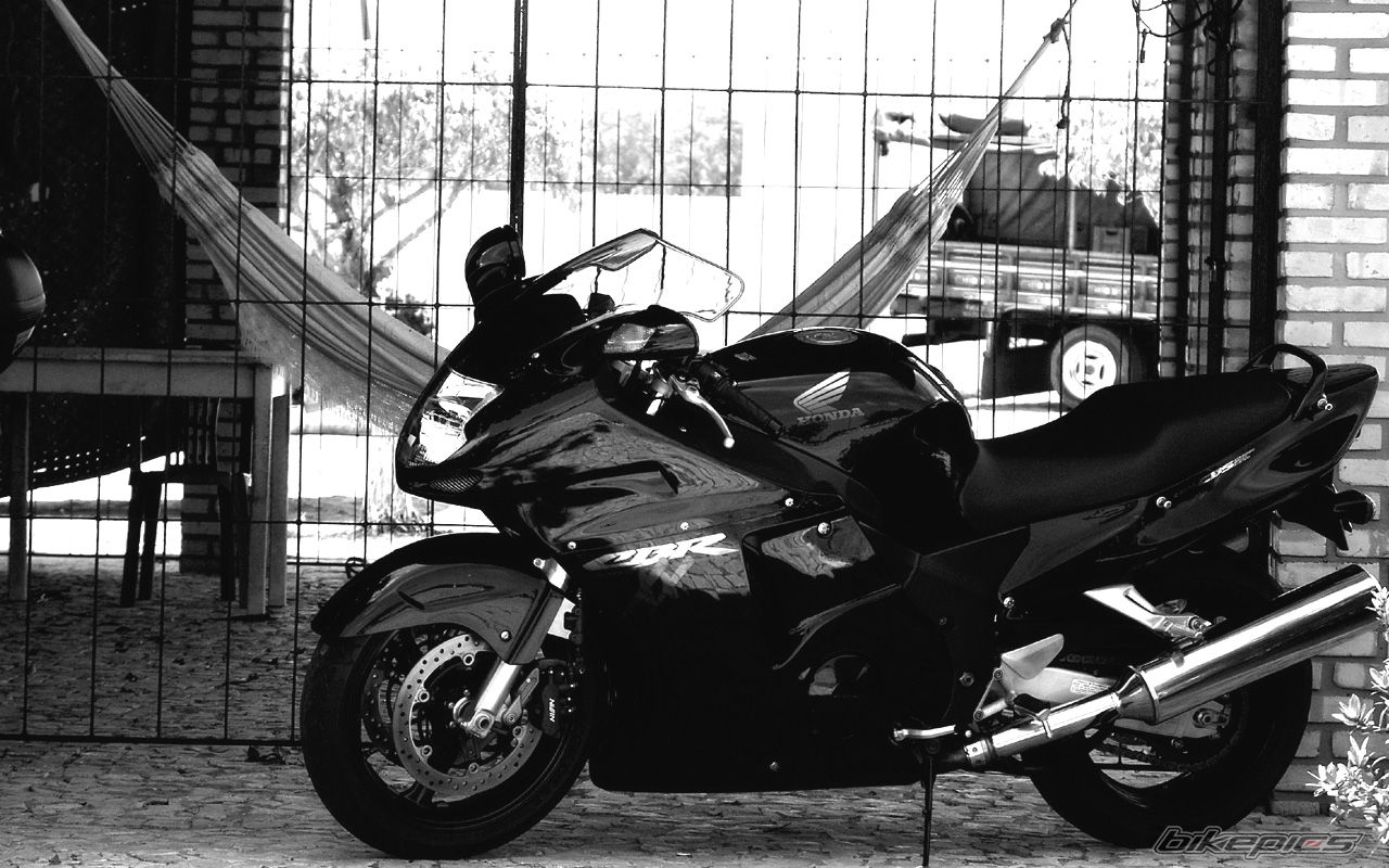 1998 HONDA CBR 1100 BLACKBIRD | Picture 1450772 motorcycle photo
