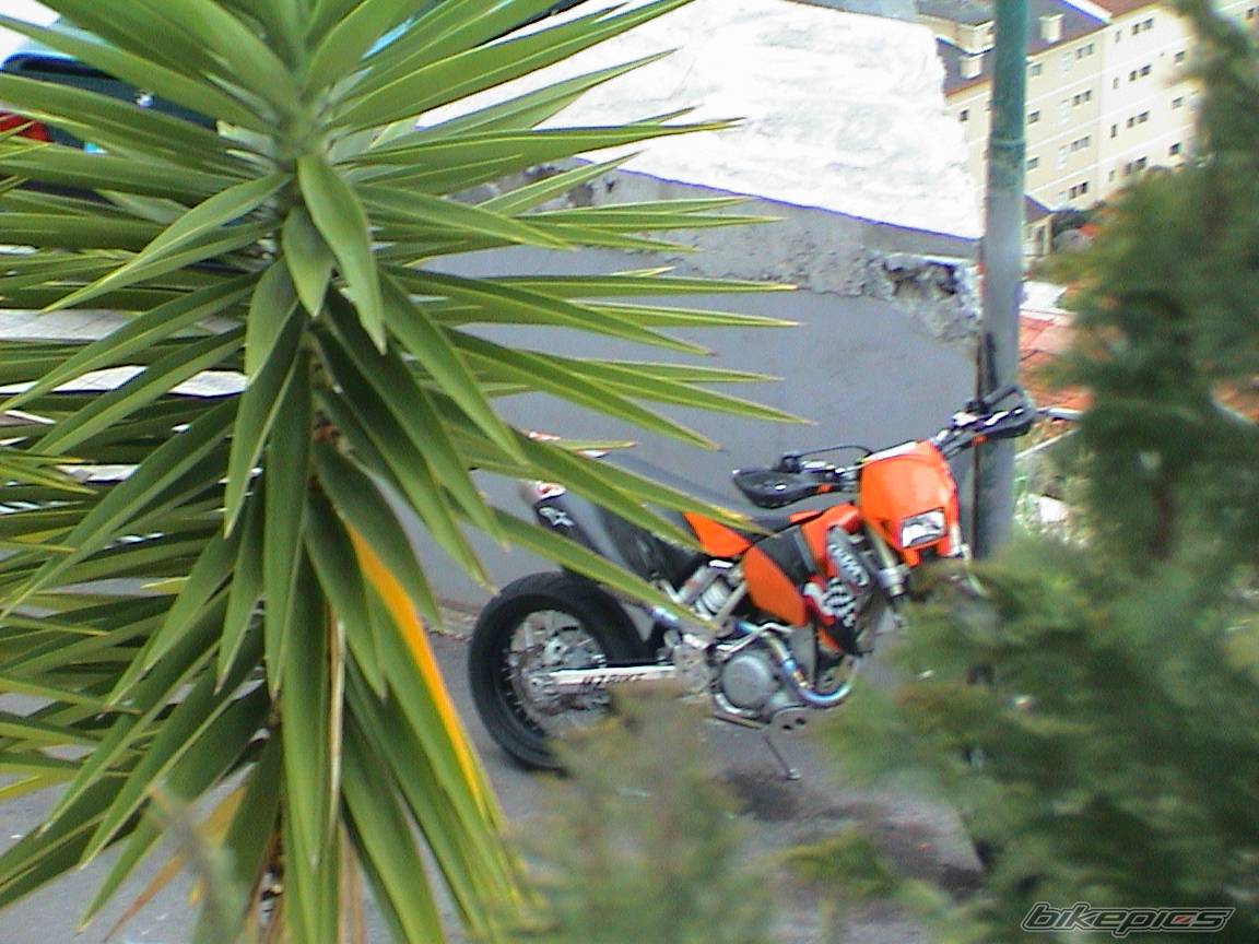2003 KTM 525 EXC | Picture 145108 motorcycle photo