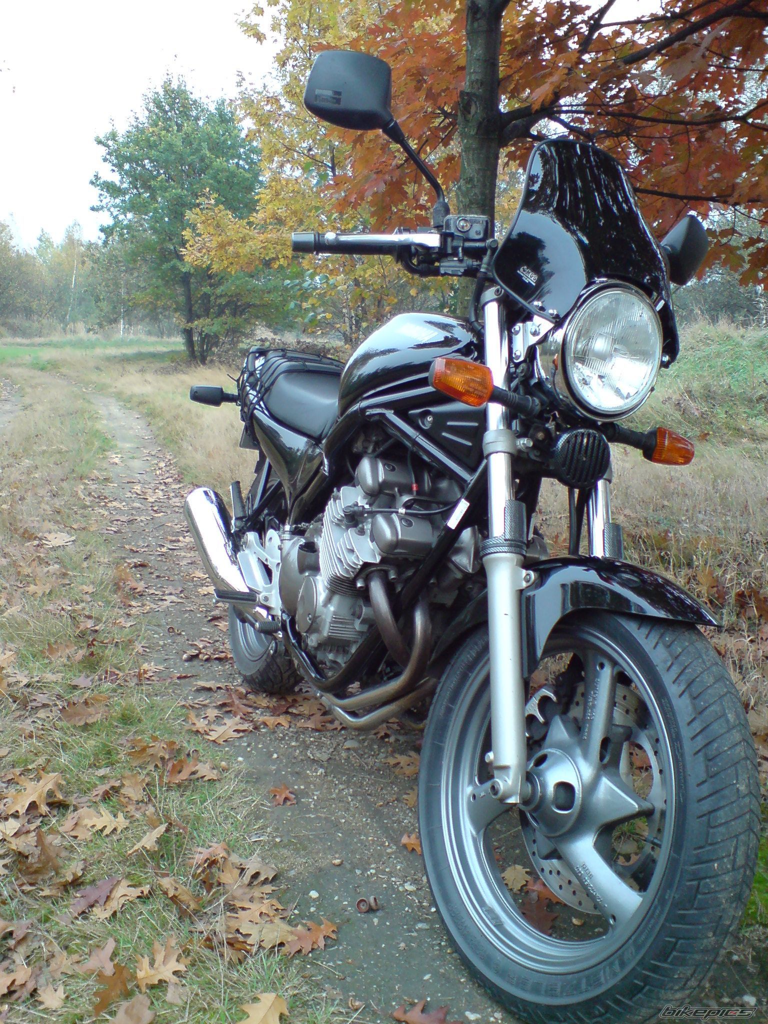 1995 YAMAHA XJ 600 | Picture 1451135 motorcycle photo