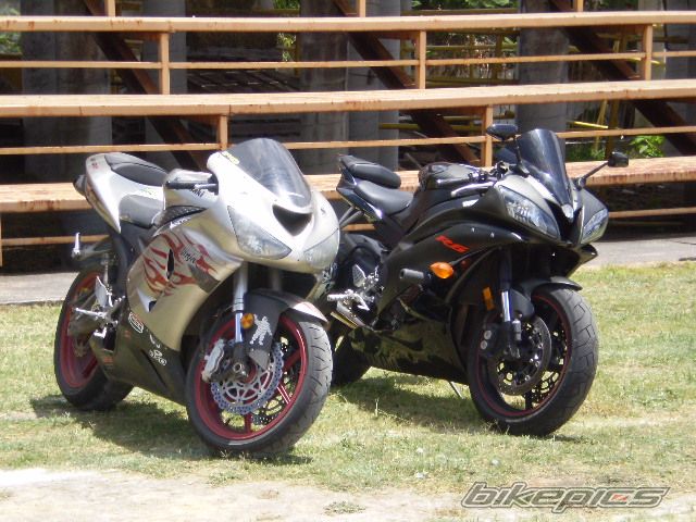 2006 YAMAHA YZF R6 | Picture 1451294 motorcycle photo
