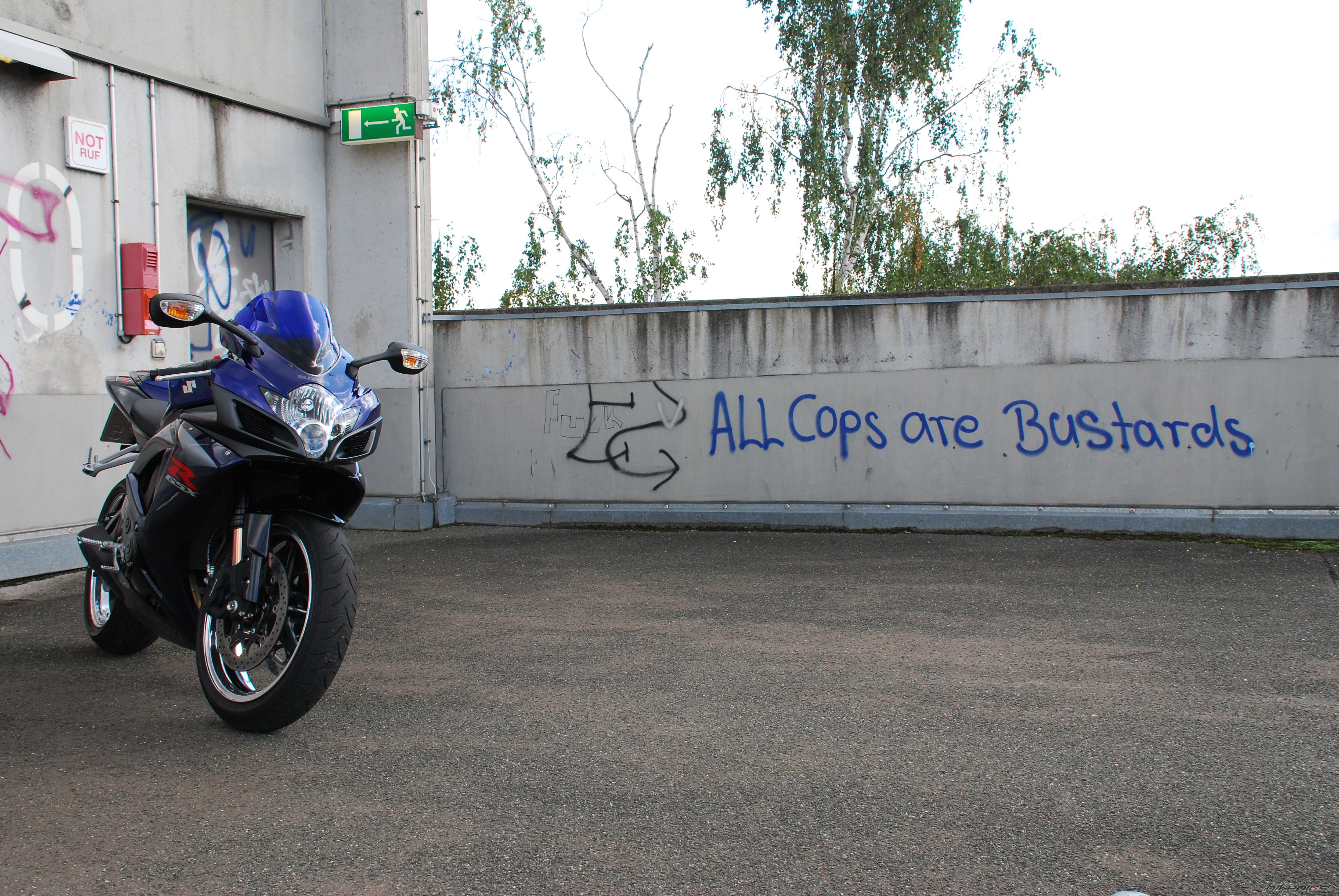 2007 SUZUKI GSX R 750 | Picture 1451313 motorcycle photo