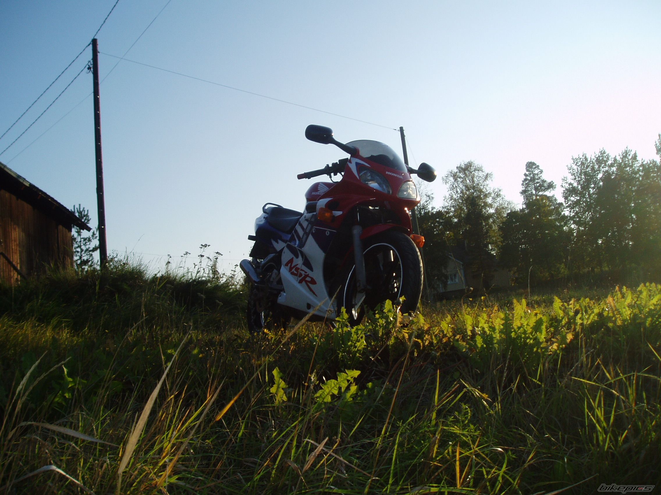 1998 HONDA NSR 125 | Picture 1451332 motorcycle photo