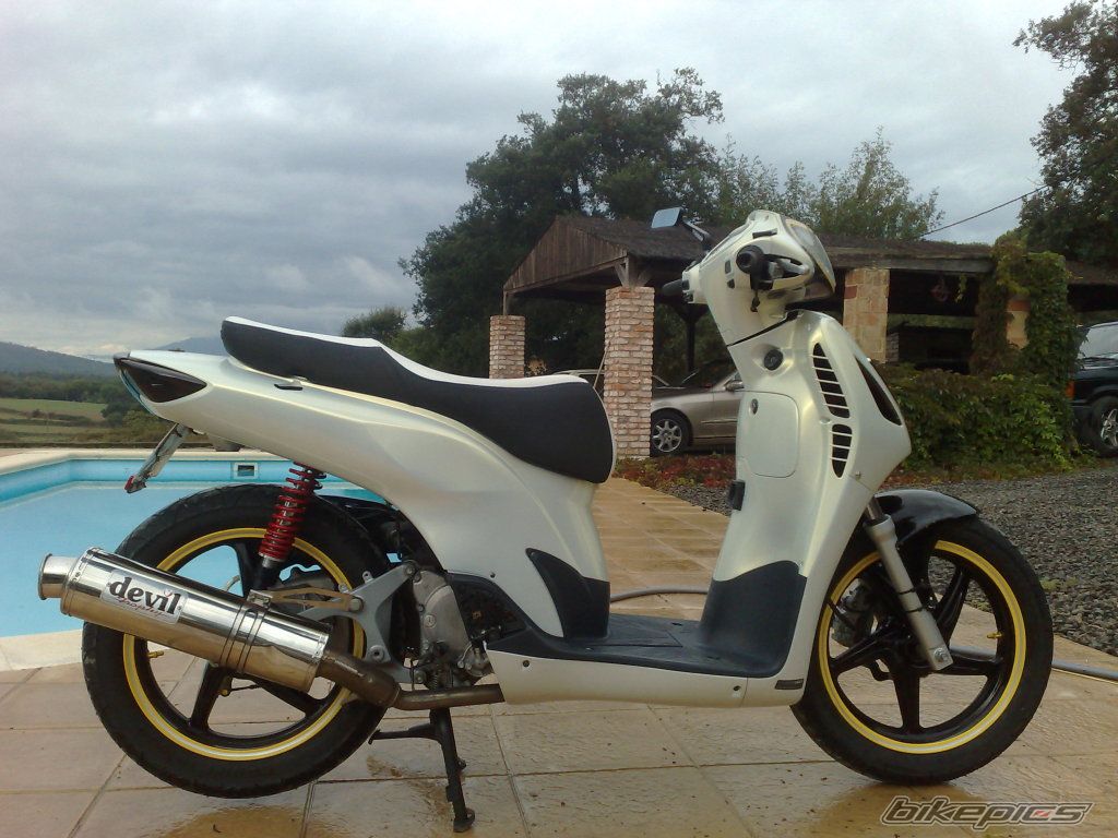 2008 HONDA SH 150 | Picture 1451707 motorcycle photo