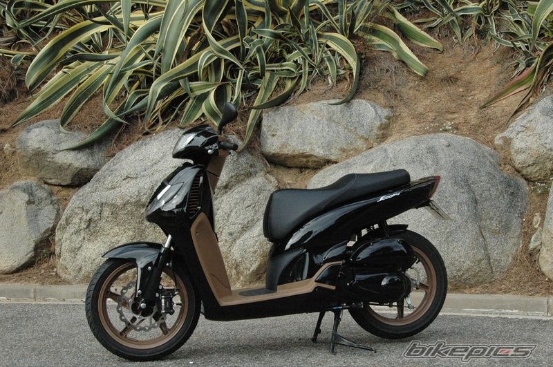 2008 HONDA SH 150 | Picture 1452216 motorcycle photo