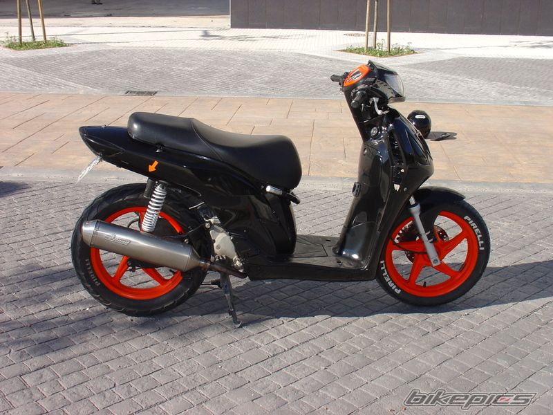 2008 HONDA SH 150 | Picture 1452218 motorcycle photo