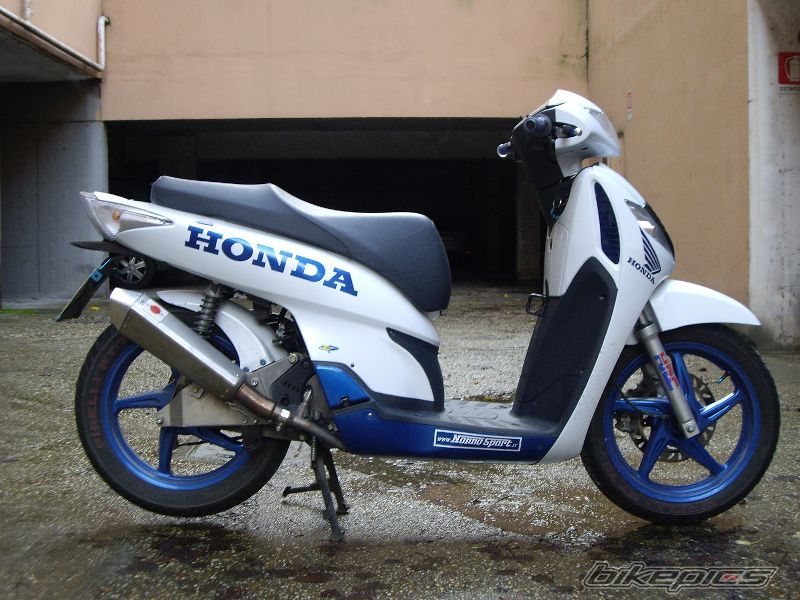 2008 HONDA SH 150 | Picture 1452219 motorcycle photo