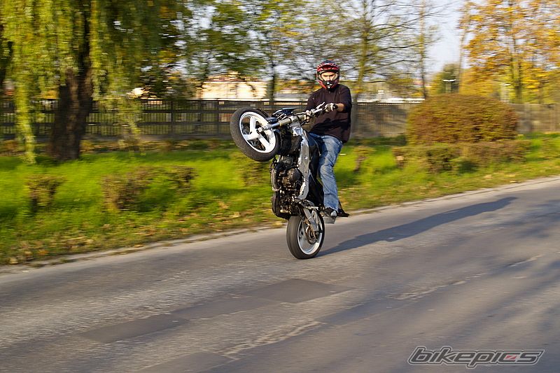 1992 YAMAHA TZR 125 | Picture 1452230 motorcycle photo