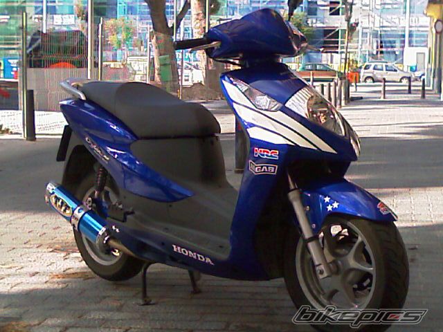 2008 HONDA SH 150 | Picture 1452238 motorcycle photo