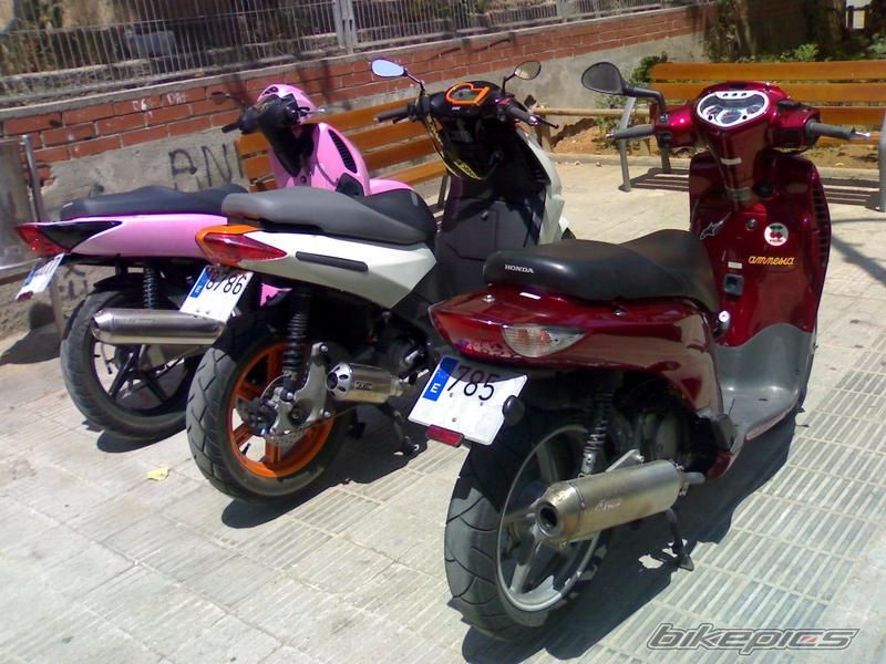 2008 HONDA SH 150 | Picture 1452240 motorcycle photo