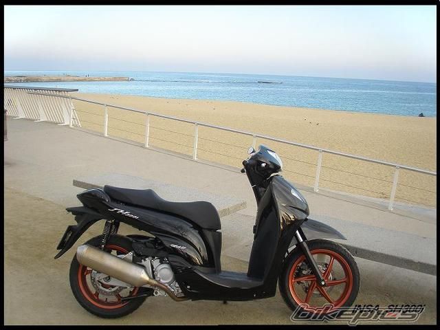 2008 HONDA SH 150 | Picture 1452250 motorcycle photo