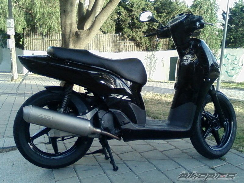 2008 HONDA SH 150 | Picture 1452252 motorcycle photo