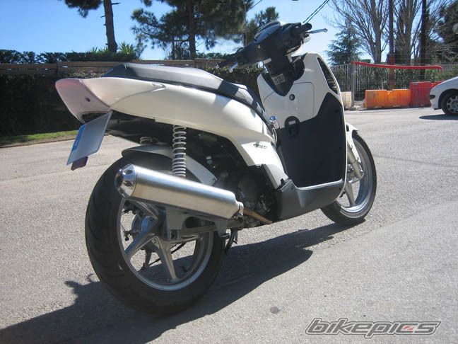 2008 HONDA SH 150 | Picture 1452258 motorcycle photo