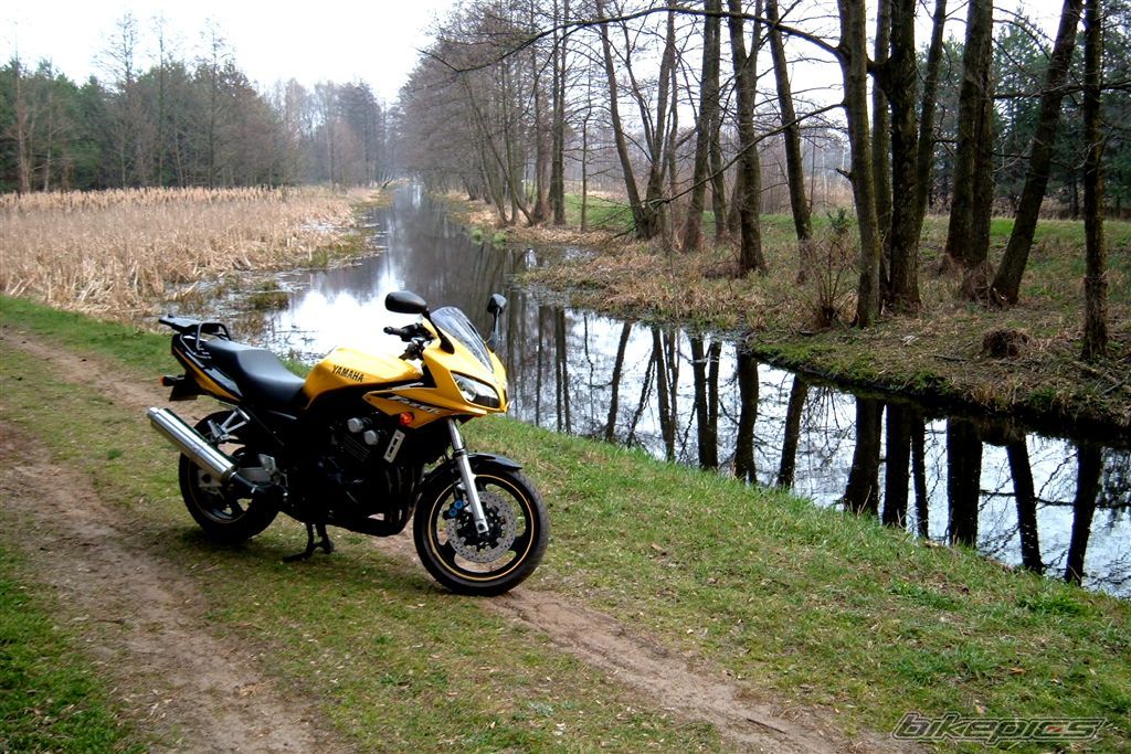 2002 YAMAHA FZS 600 FAZER | Picture 1452569 motorcycle photo