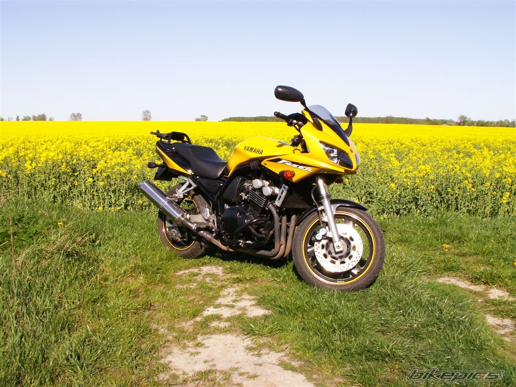 2002 YAMAHA FZS 600 FAZER | Picture 1452597 motorcycle photo