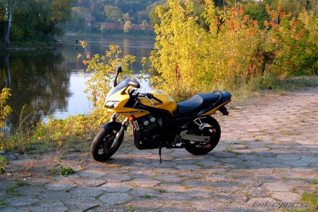 2002 YAMAHA FZS 600 FAZER | Picture 1452621 motorcycle photo