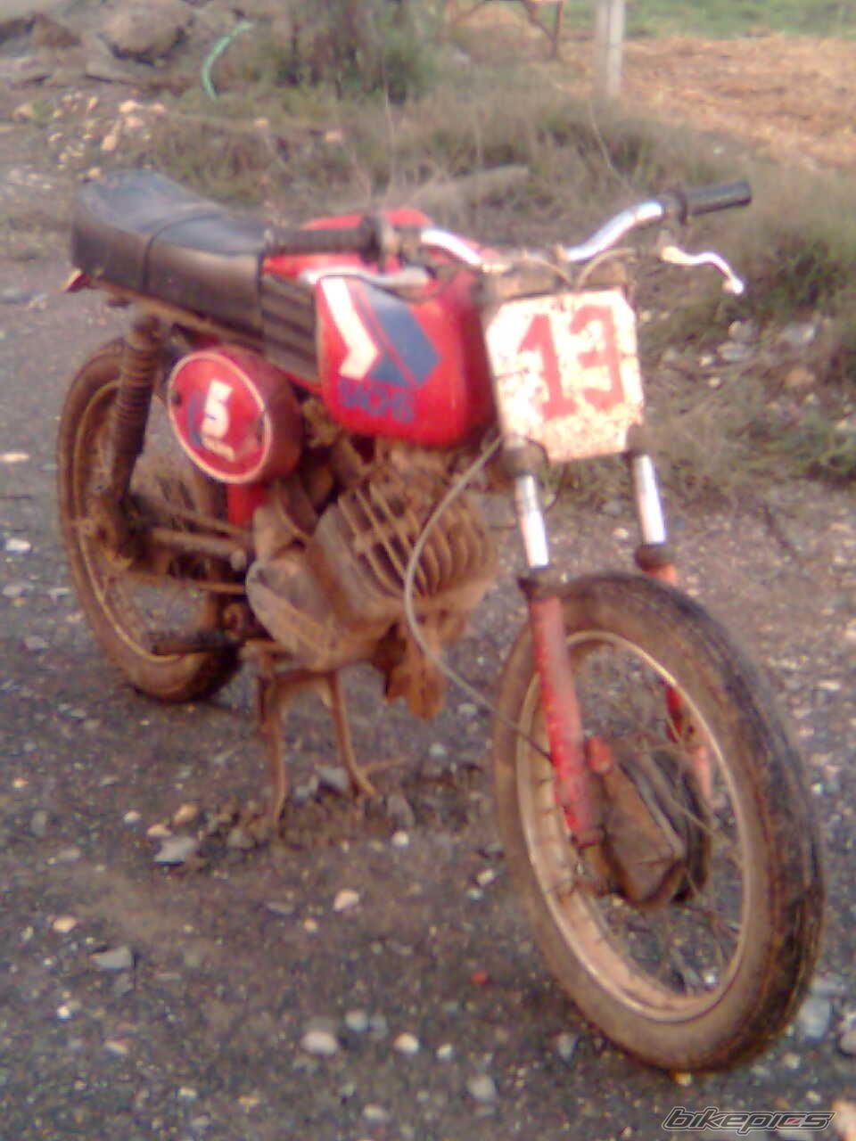 1986 SACHS V5 RACING | Picture 1454286 motorcycle photo
