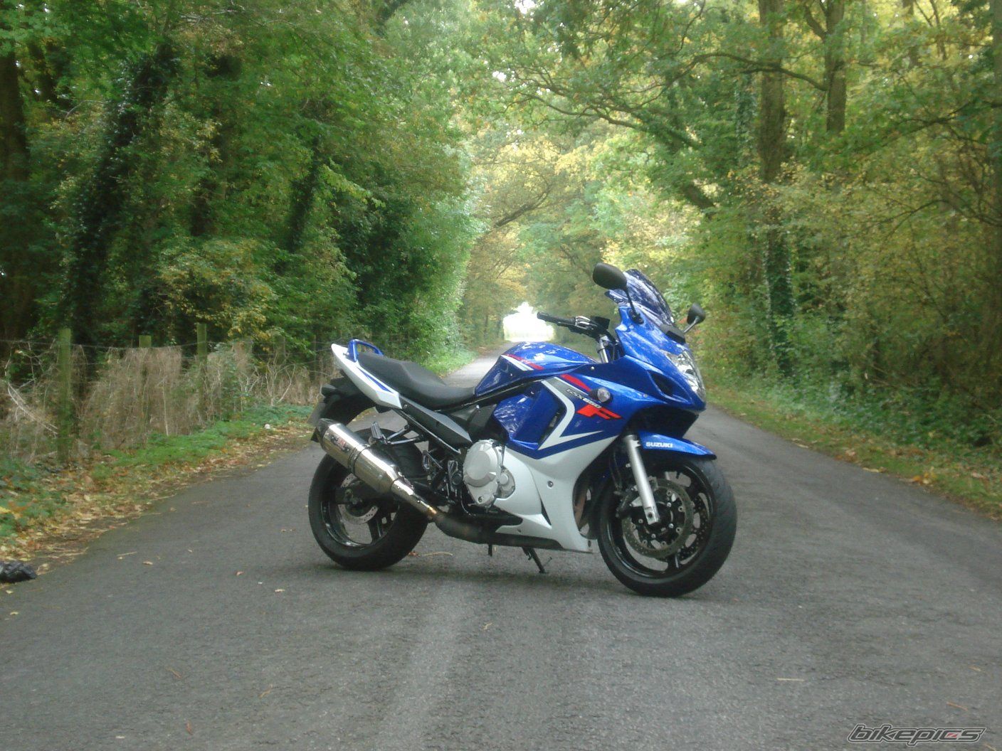 2008 SUZUKI BANDIT 650 | Picture 1454644 motorcycle photo