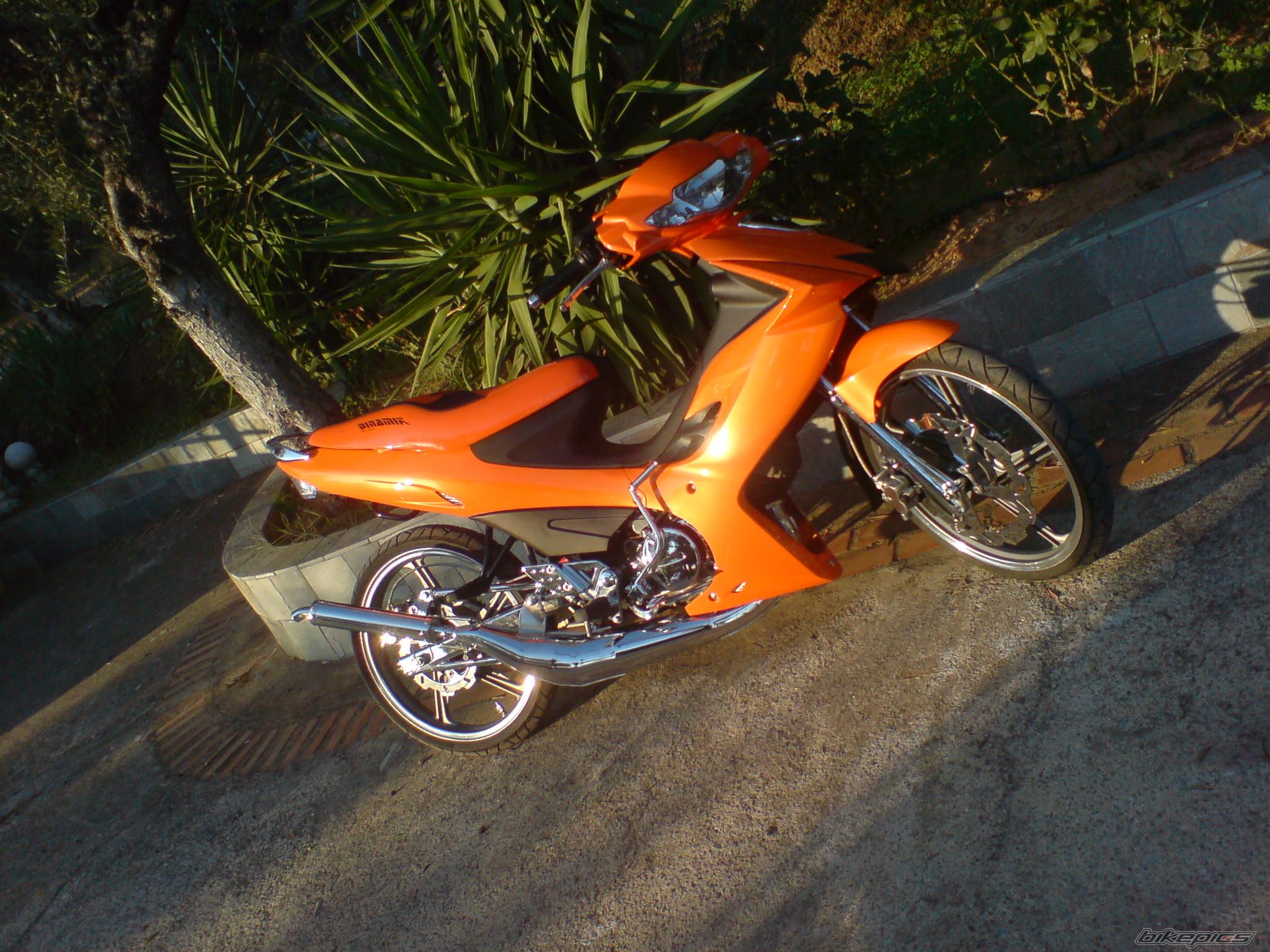 2006 MODENAS DYNAMIC 125 | Picture 1454689 motorcycle photo