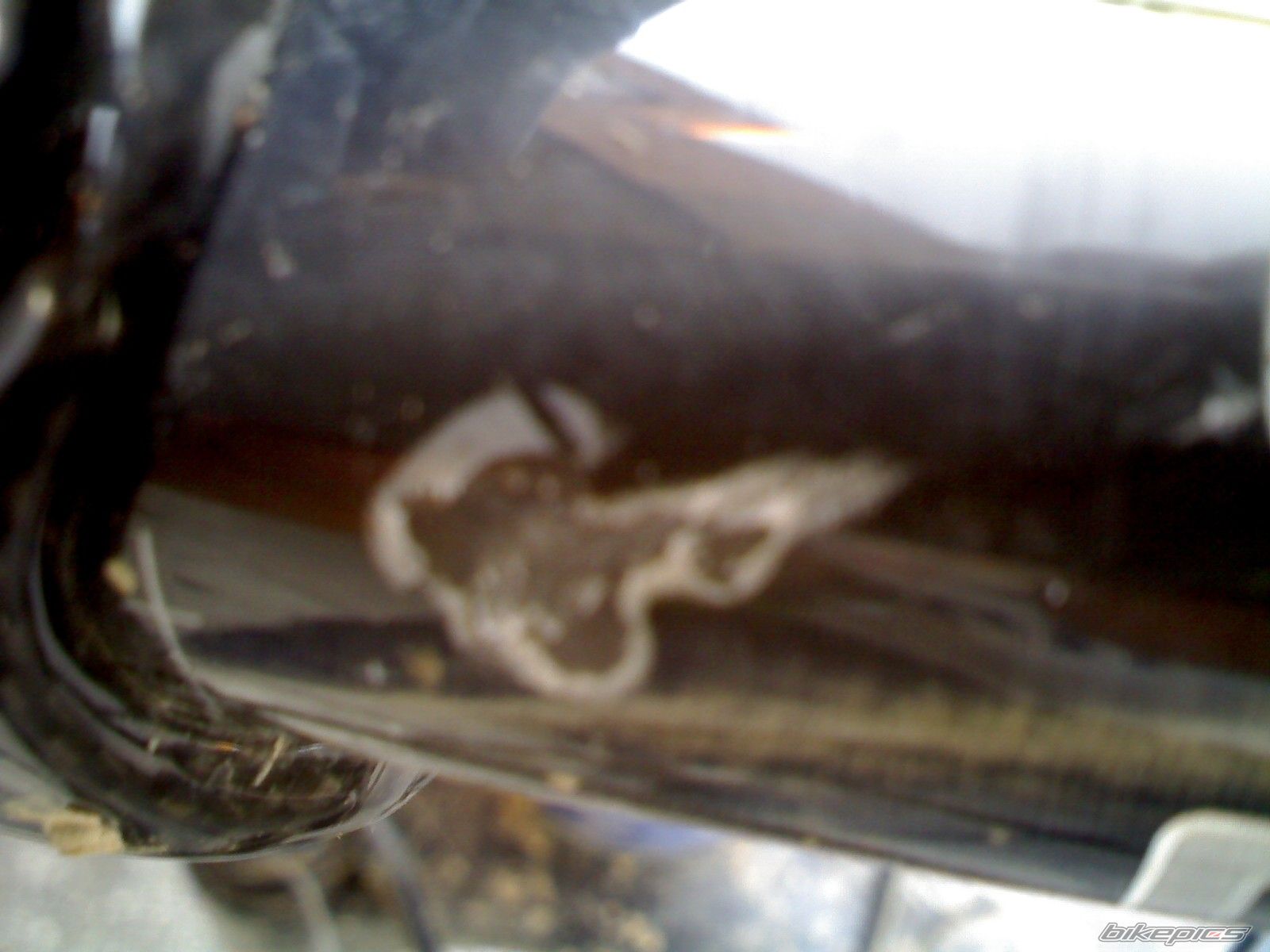    | Picture 1454767 motorcycle photo