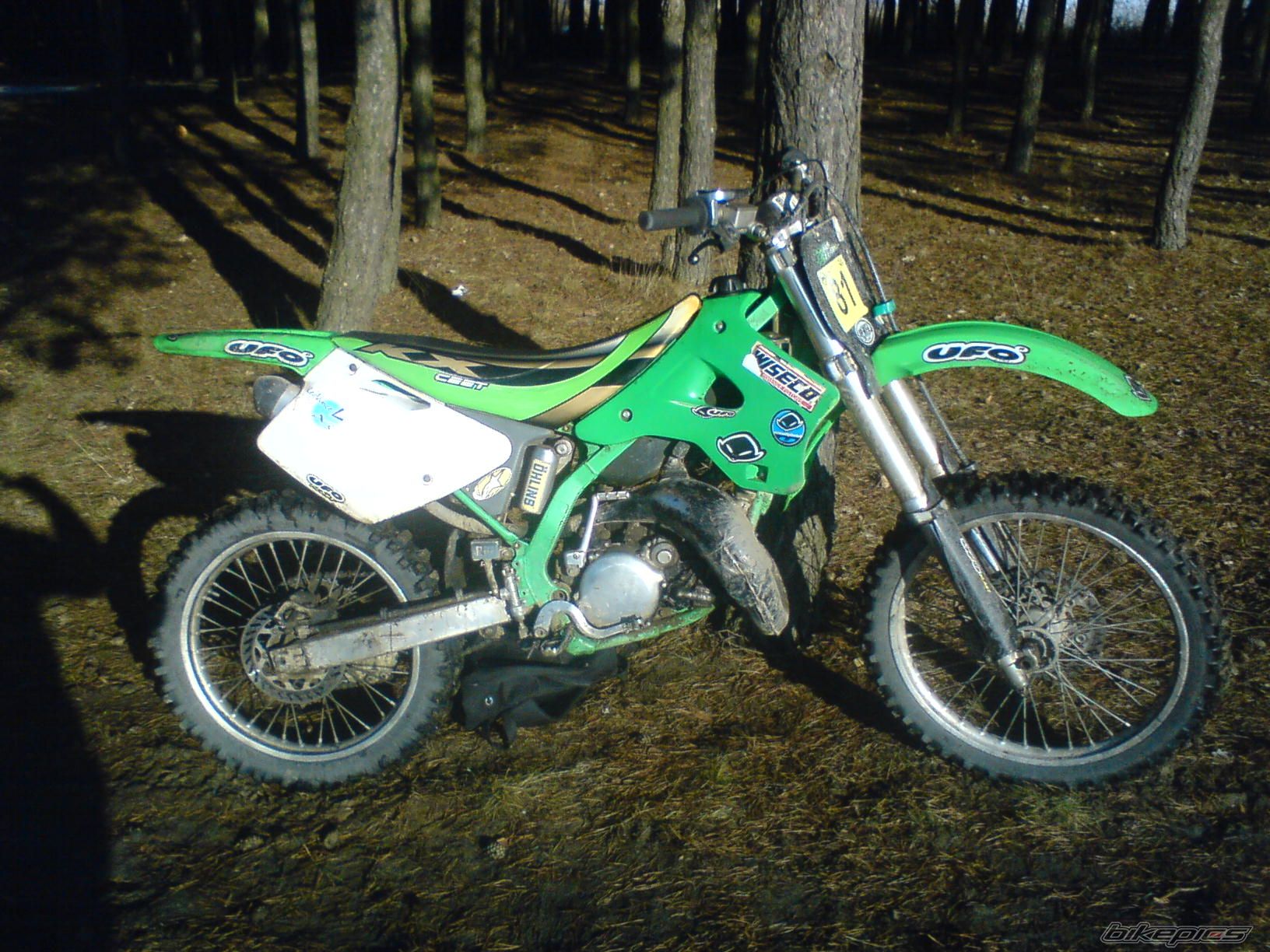 1998 KAWASAKI KX 125 | Picture 1454982 motorcycle photo