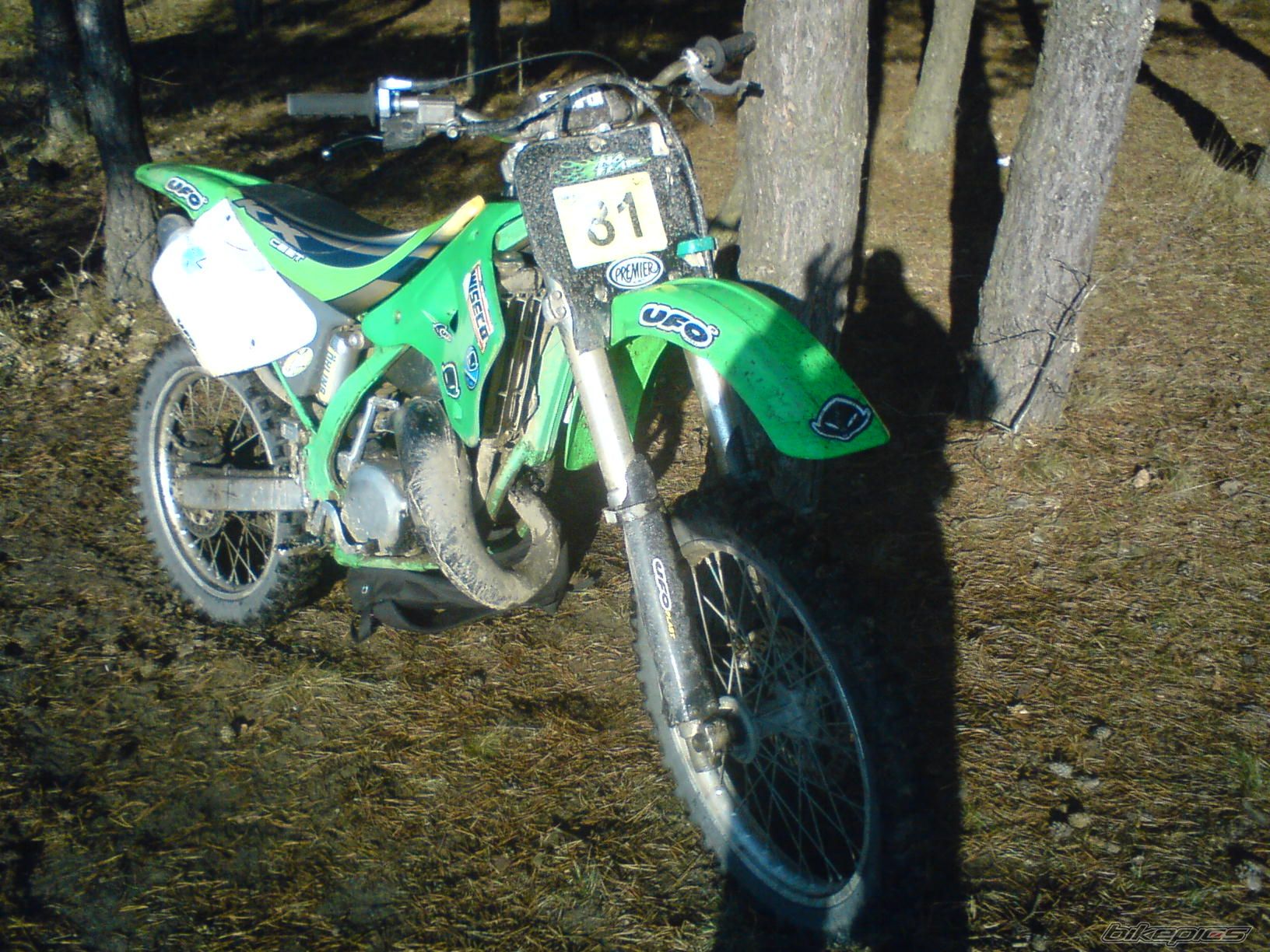 1998 KAWASAKI KX 125 | Picture 1455035 motorcycle photo
