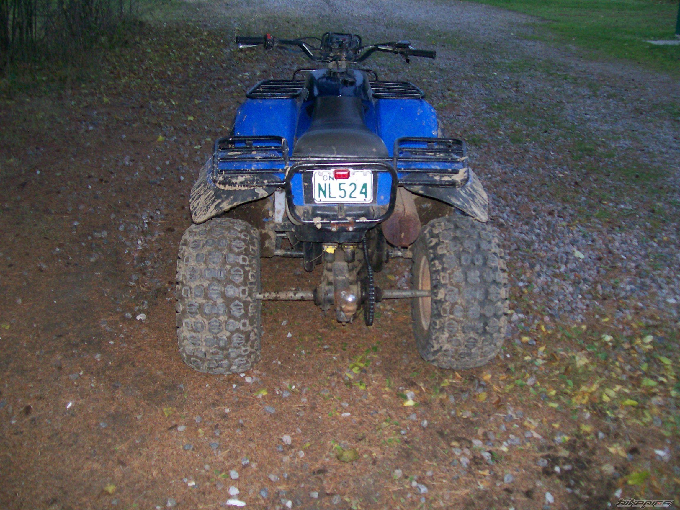 1987 POLARIS TRAIL BOSS 250 | Picture 1455212 motorcycle photo