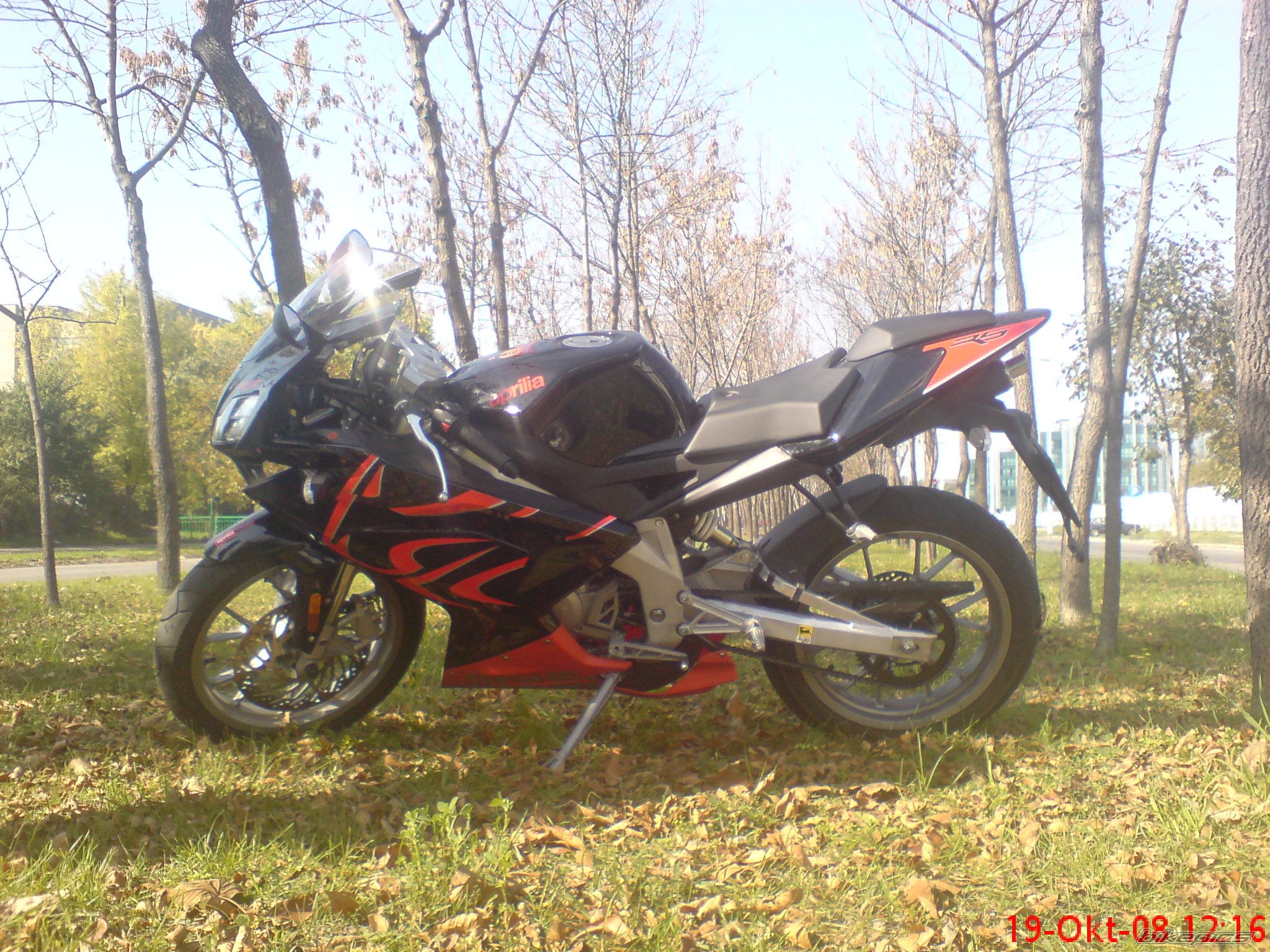 2008 APRILIA RS 50 | Picture 1455408 motorcycle photo