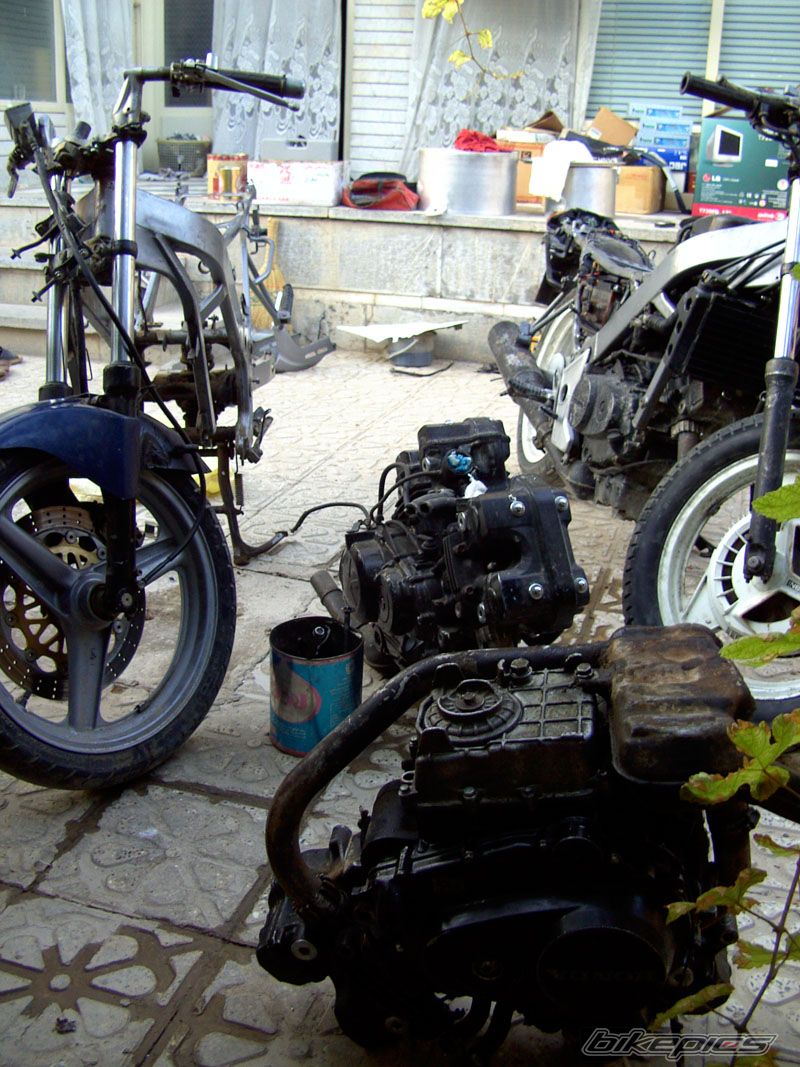 1996 HONDA VTZ 250 | Picture 1455437 motorcycle photo