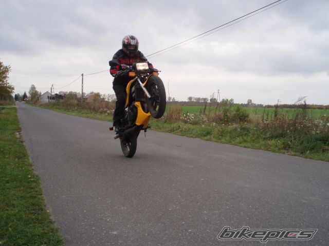 1988 HONDA NS 125 | Picture 1455631 motorcycle photo