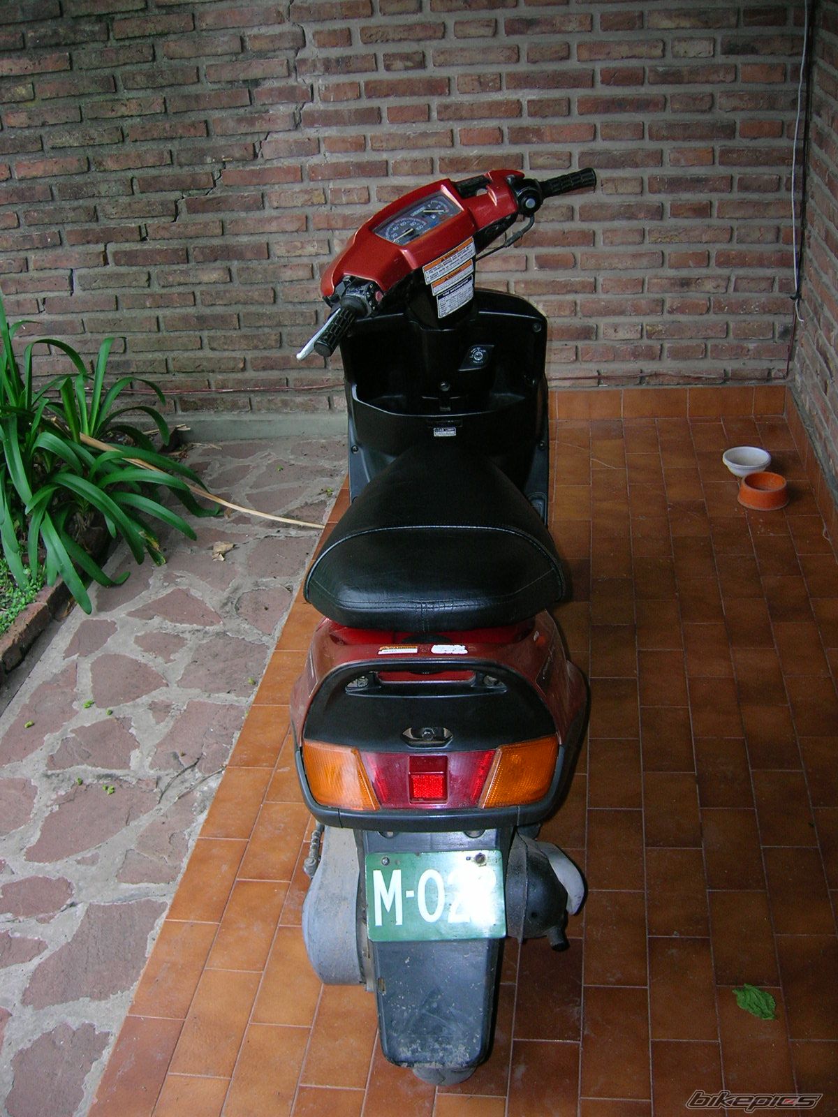 1994 YAMAHA AXIS 90 | Picture 1455757 motorcycle photo
