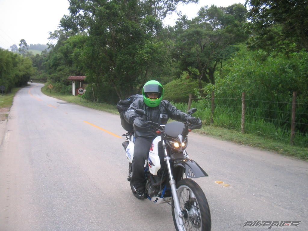2006 SUZUKI DR 650 | Picture 1456295 motorcycle photo