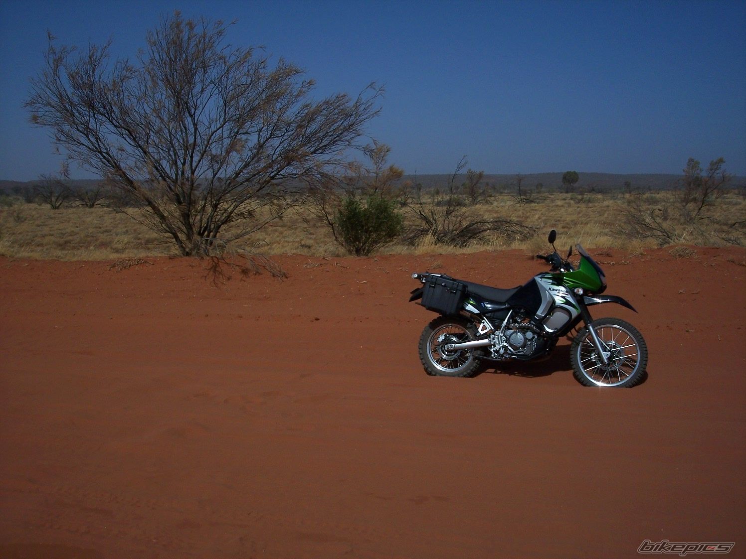 2008 KAWASAKI KLR 650 | Picture 1456342 motorcycle photo