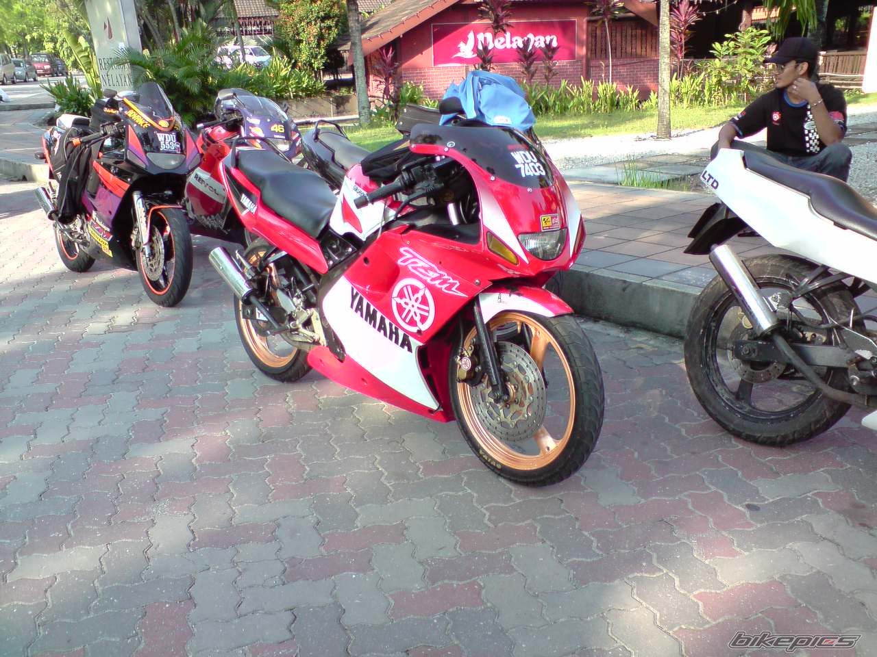 2008 YAMAHA TZM 150 | Picture 1456637 motorcycle photo