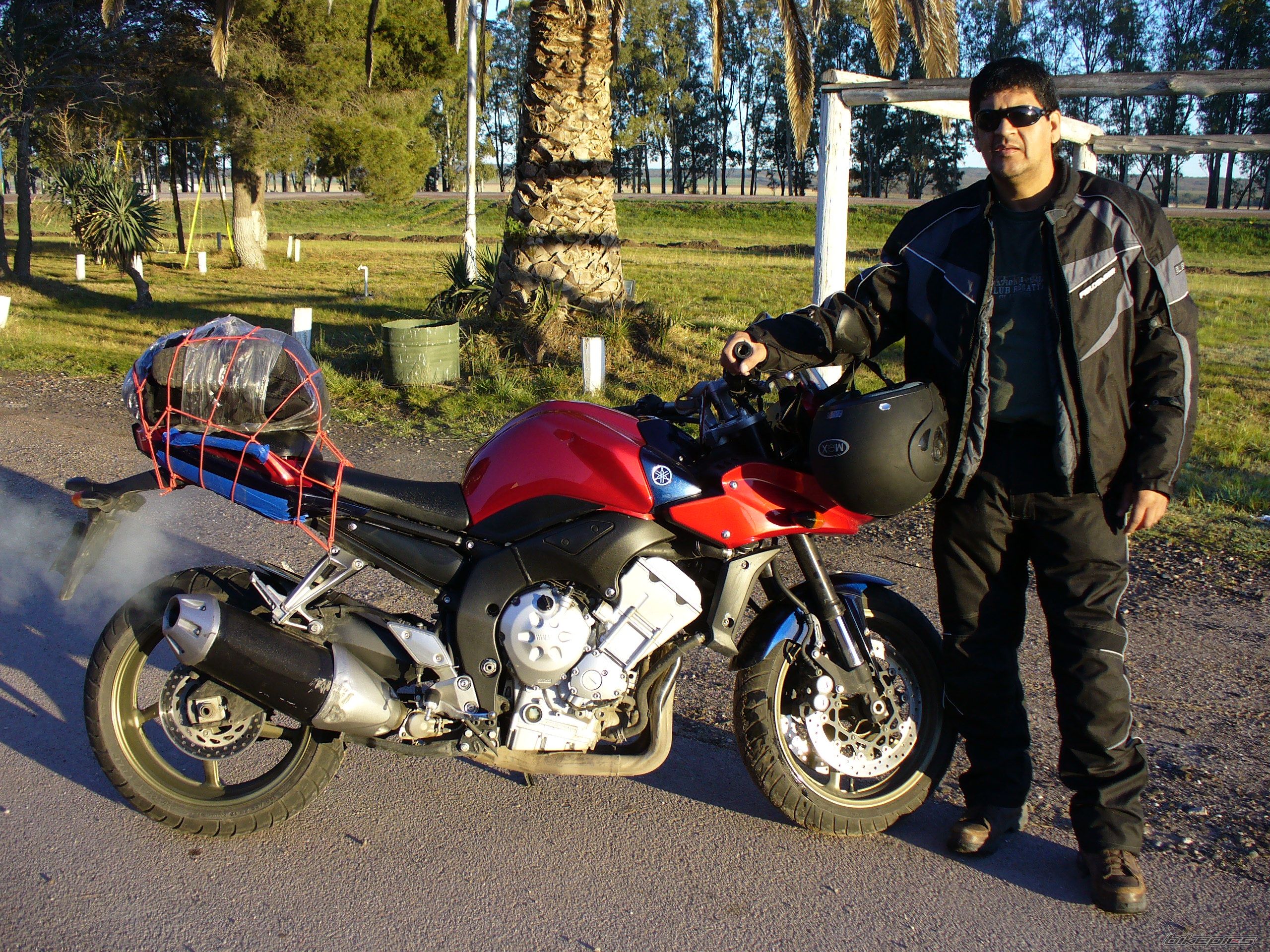 2008 YAMAHA F1Z | Picture 1457130 motorcycle photo