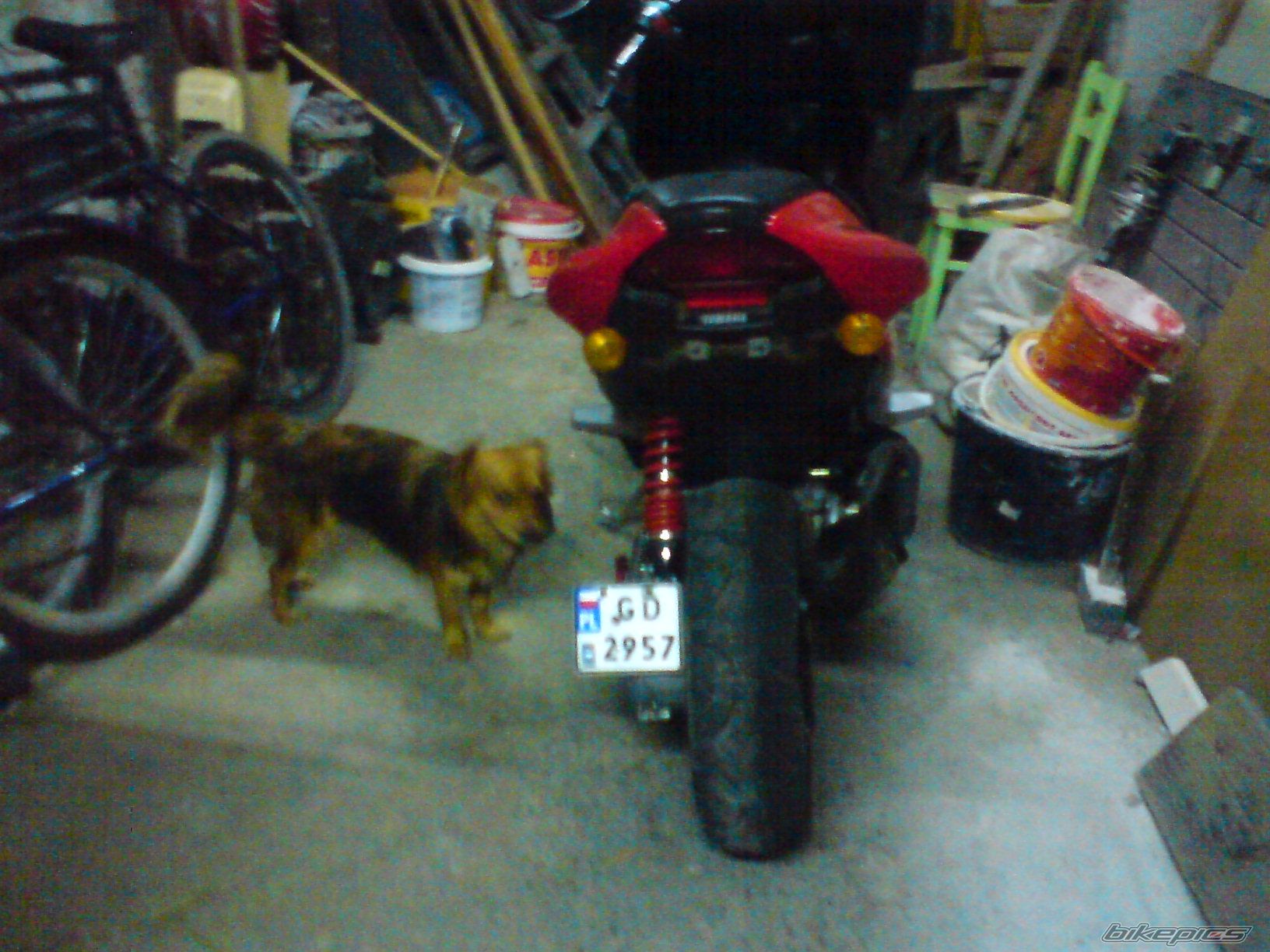 1998 YAMAHA AEROX 50 | Picture 1457539 motorcycle photo