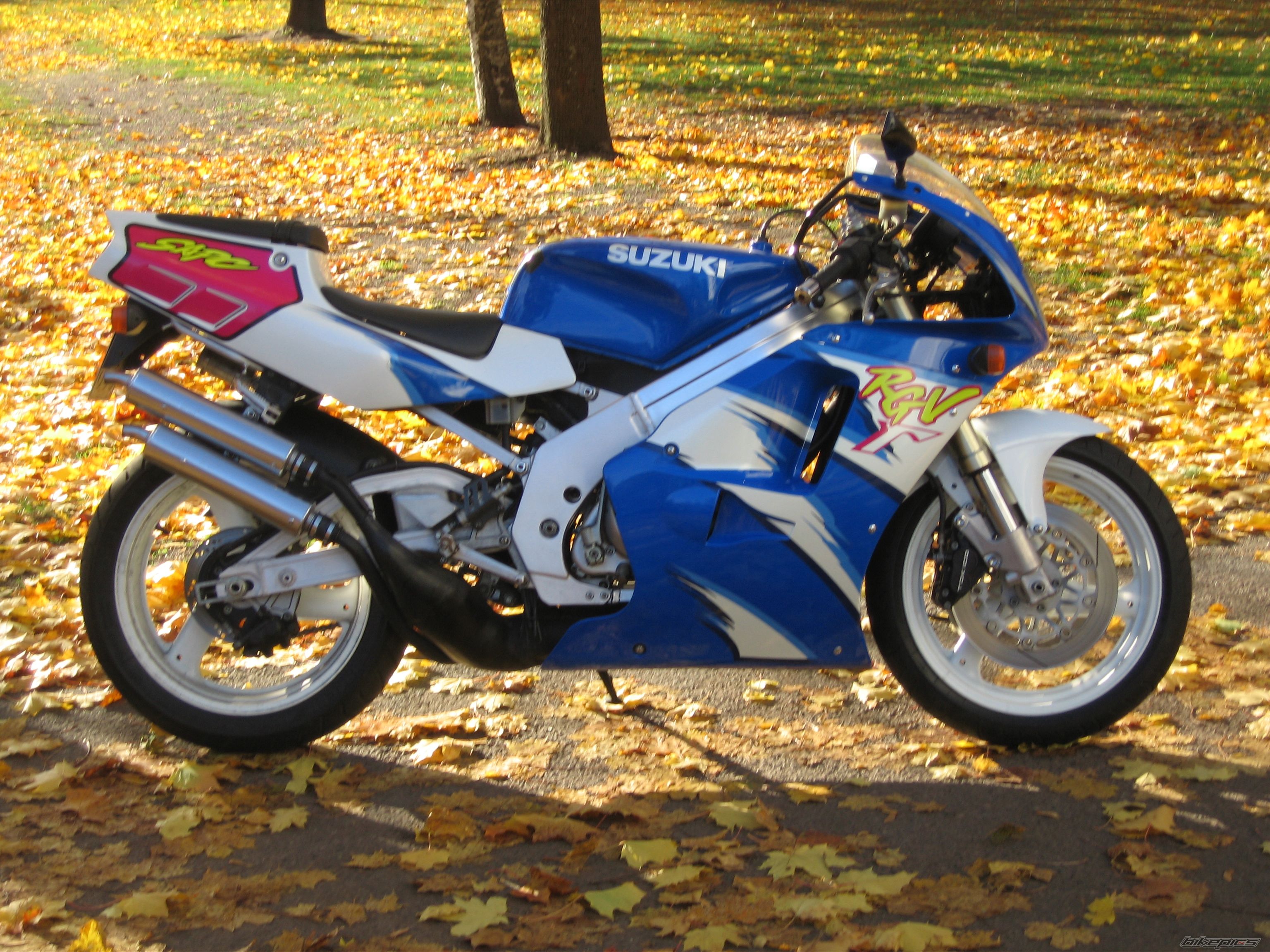 1993 SUZUKI RGV 250 | Picture 1457608 motorcycle photo